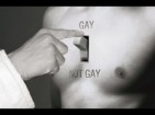 gaynotgay-300x225