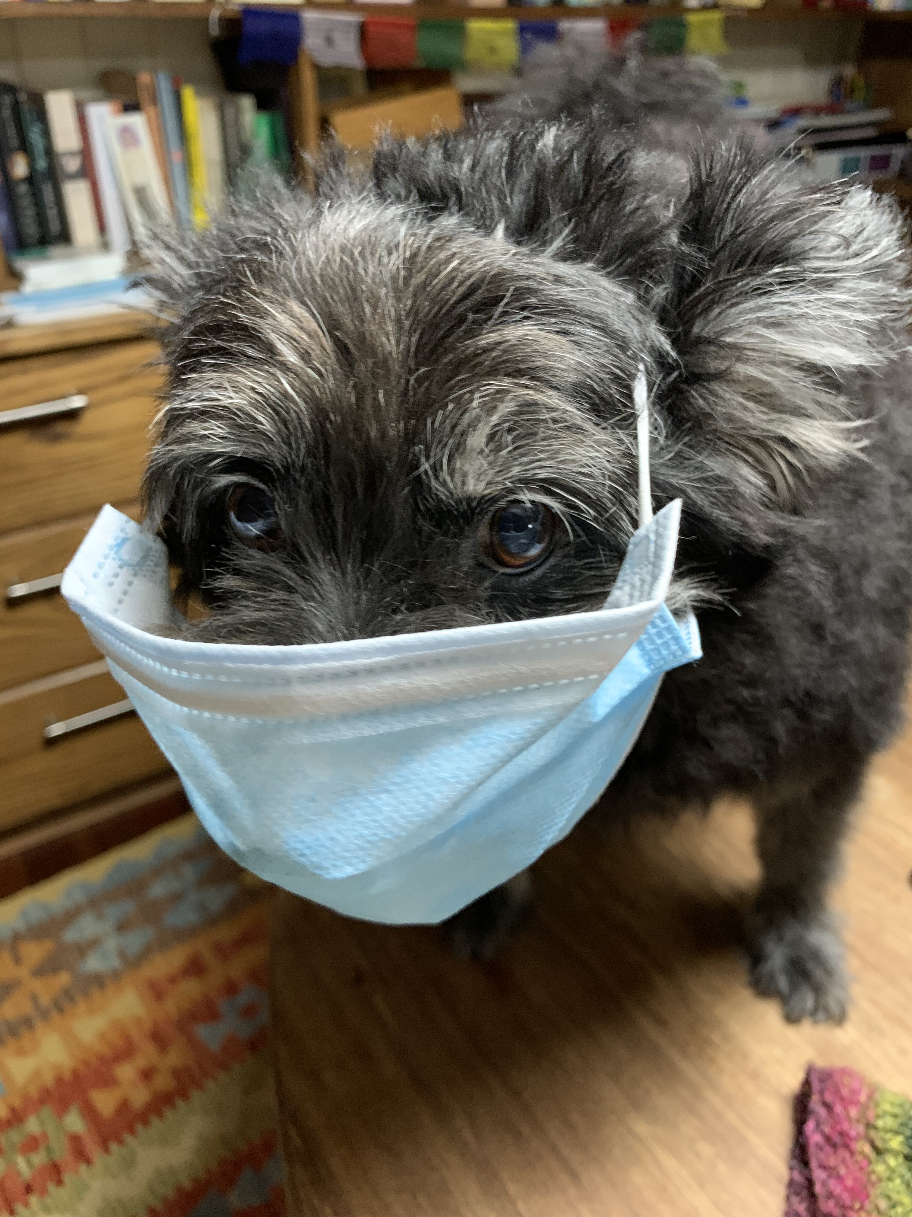 image_bdb8a5e1-1287-4932-aec4-d1321c12b21a.img_4559